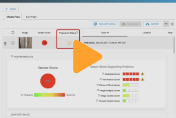 validating and fingerprinting example image