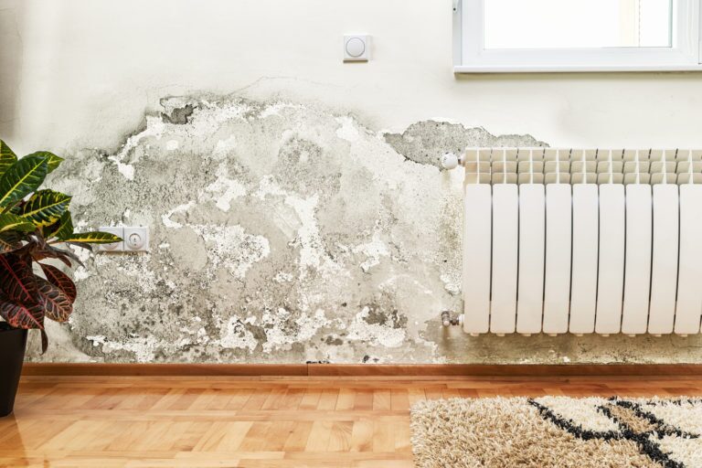 white wall with black mold and damage next to a radiator